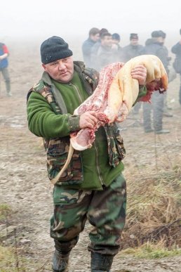 Колоритний фестиваль Гентешів у селі Геча: як це було – 14