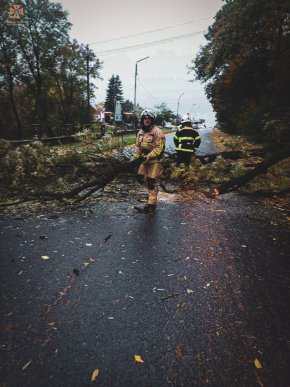 Рятувальники показали наслідки негоди, яка вирувала 27 жовтня на Закарпатті – 01