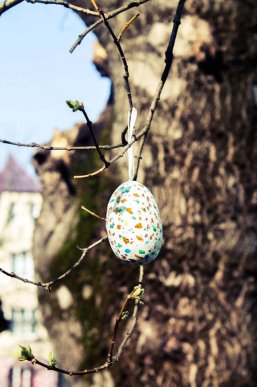 У Мукачеві з’явилося писанкове дерево – 01