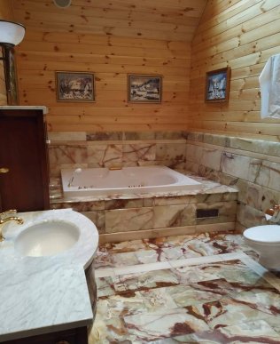 Обшуки маєтку родини Віктора Медведчука на Закарпатті: опубліковано ексклюзивні кадри – 18