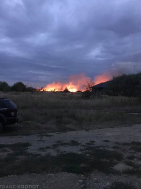 Велика пожежа у Виноградові: вогонь наближається до новобудов – 03