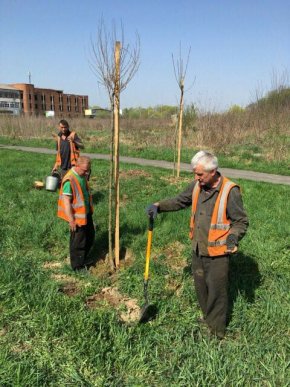 В Ужгороді висадили ще майже 200 дерев – 03