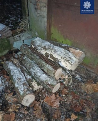 У ботанічному саду УжНУ вночі нахабно вирубували дерева – 02