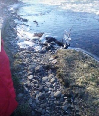З’явилися фото з місця вбивства молодої дівчини, тіло якої знайшли біля річки – 02 З’явилися фото з місця вбивства молодої дівчини, тіло якої знайшли біля річки – 02