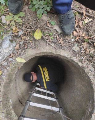 В Ужгороді врятували собаку – 02