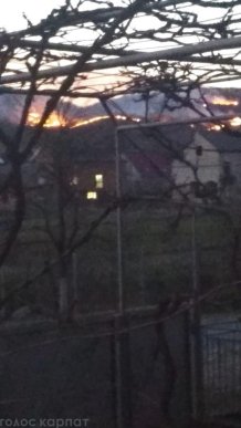 На Іршавщині вирує масштабна пожежа – 04