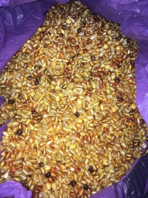 На українсько-словацькому кордоні затримали порушника – 01