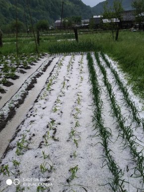 Одне із сіл Закарпаття сьогодні засипало градом – 06