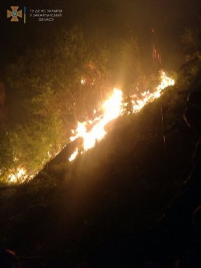 Велика пожежа на Закарпатті: рятувальники та місцеве населення всю ніч гасили вогонь – 02