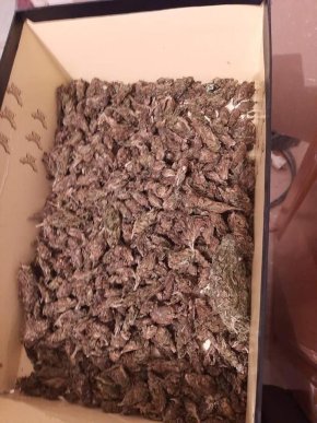 У поліції розповіли про обшук у Мукачеві – 04