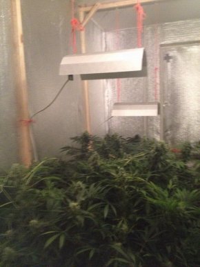 У мікрорайоні Росвигово в Мукачеві поліцейські виявили шокуючу нарколабораторію – 06