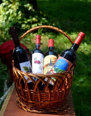 У виноградівському парку Перен відбувся винний фестиваль «Угочанська лоза» – 05