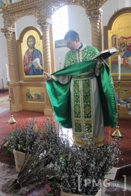 Мукачівські вірники відзначили Вербну неділю – 13