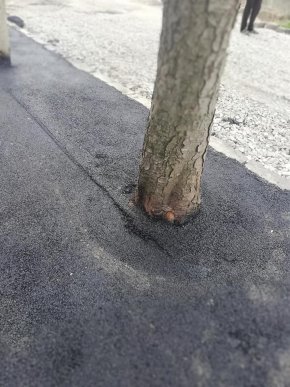 Закарпатців здивувало те, як у Берегові заасфальтували тротуар – 01