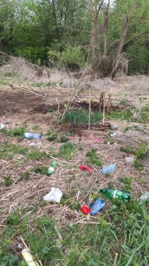 Історія закарпатки шокувала всю країну – 04