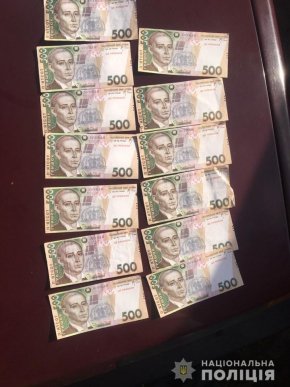 Закарпатка обкрадала людей під цікавим приводом – 01