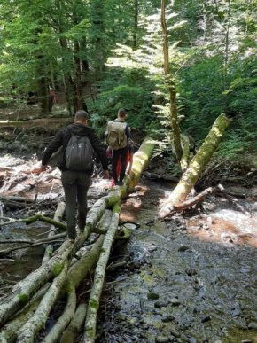 Хлопців, які заблукали в горах, збираючи чорницю, знайшли – 01