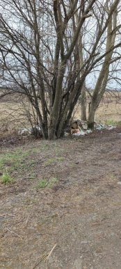 У Мукачеві будівельники залишили сміття на зеленій зоні – 02