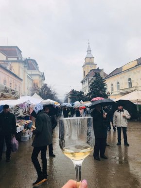 На Берегівщині офіційно стартував Міжародний фестиваль вина – 07