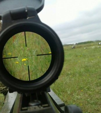 Закарпатські добровольці взяли участь у військовому вишкольному таборі, який проходив на Житомирщині – 14 Закарпатські добровольці взяли участь у військовому вишкольному таборі, який проходив на Житомирщині – 14