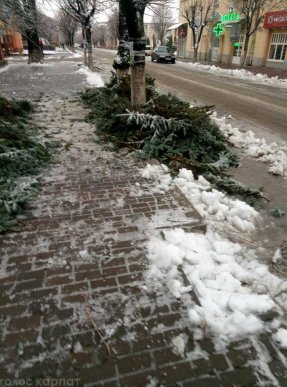 Наслідки негоди у Виноградові: повалені дерева, пошкоджені автомобілі та дах школи – 12