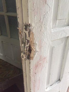 Крадіжки щоночі: село на Мукачівщині потерпає від зловмисників – 03