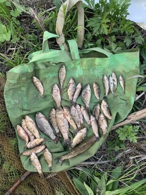 Завдав збитків на понад 40 тисяч гривень: що накоїв рибалка на Закарпатті – 01