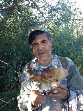 На Закарпатті киянин назбирав 114 кілограмів білих грибів – 10