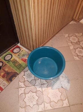 Стан однієї з багатоповерхівок Мукачева шокував містян – 02