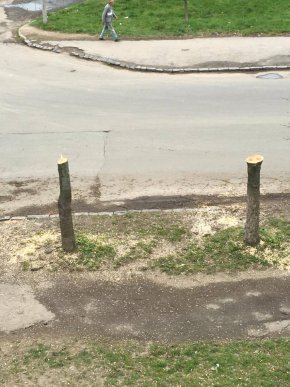У Мукачеві в мікрорайоні Підгоряни бабуся здійняла переполох своєю витівкою – 09 У Мукачеві в мікрорайоні Підгоряни бабуся здійняла переполох своєю витівкою – 09