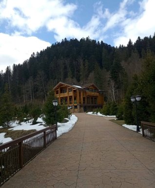 Обшуки маєтку родини Віктора Медведчука на Закарпатті: опубліковано ексклюзивні кадри – 03