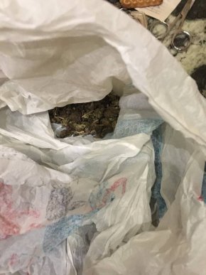 Працівники СБУ припинили діяльність "наркомаркету" в Ужгороді – 02