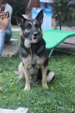 У Мукачеві відбувся благодійний вечір у підтримку Юлії Миронової, яка перебуває у реанімації у Таїланді – 04