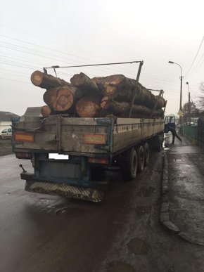 Патрульні поліцейські затримали вантажівку із нелегальним "лісом" – 02
