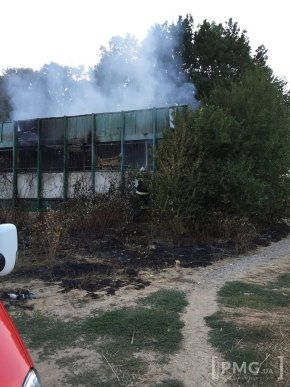 У мікрорайоні "Підгоряни" горіло сухотрав’я – 02