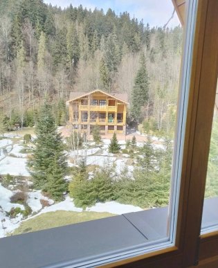 Обшуки маєтку родини Віктора Медведчука на Закарпатті: опубліковано ексклюзивні кадри – 22