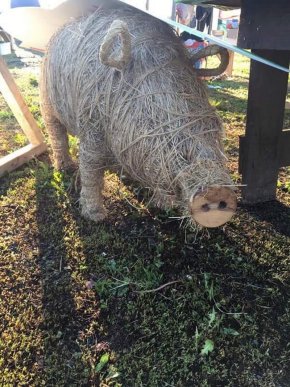 На Берегівщині стартував чемпіонат бограчу – 13