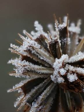 Картинки на телефон: обирайте нову заставку з зимовим вайбом – 22