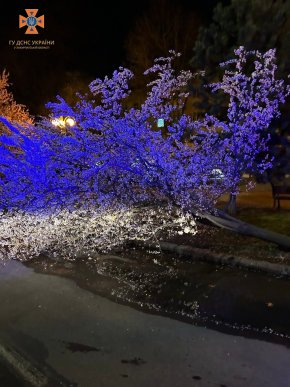 Повалені дерева, зірвані дахи, знеструмлені села: що вночі накоїла негода на Закарпатті – 03