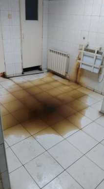 У мережі показали жахливий стан туалету на КПП "Тиса" – 01