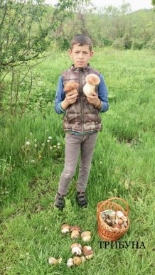 На Закарпатті вже продають білі гриби – 02