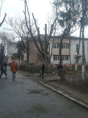 Департамент господарства не дав зрізати дерева біля центру переливання крові в Ужгороді – 02 Департамент господарства не дав зрізати дерева біля центру переливання крові в Ужгороді – 02