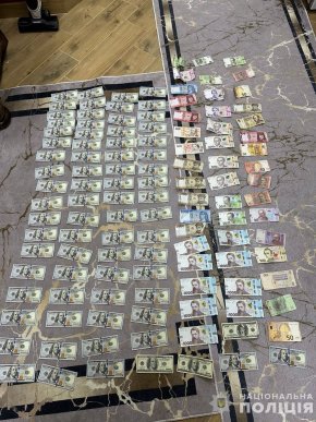 Послуги коштували від 7 до 9 тисяч доларів: у поліції розповіли, що накоїла 34-річна закарпатка – 02