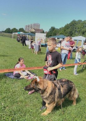 У Мукачеві відбувся "Парад собак" – 09