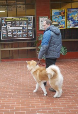 В обласному центрі стартувала міжнародна виставка собак – 02
