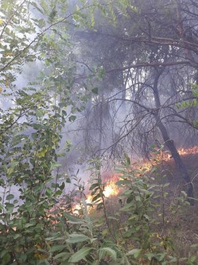 У Чинадієві неподалік траси пожежа – 06