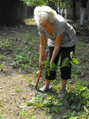 78-річна закарпатка зробила вчинок, який заслуговує на повагу – 07 78-річна закарпатка зробила вчинок, який заслуговує на повагу – 07