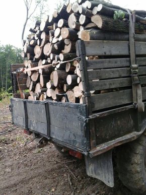 Патрульні поліцейські затримали "лісових" контрабандистів – 06 Патрульні поліцейські затримали "лісових" контрабандистів – 06