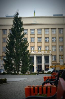 В Ужгороді почали встановлювати головну ялинку області – 04