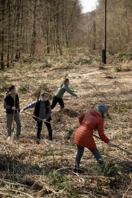 500 дерев задля відновлення лісів Закарпаття, – працівники "Джейбіла" висадили хвойні в урочищі "Дубки" – 03